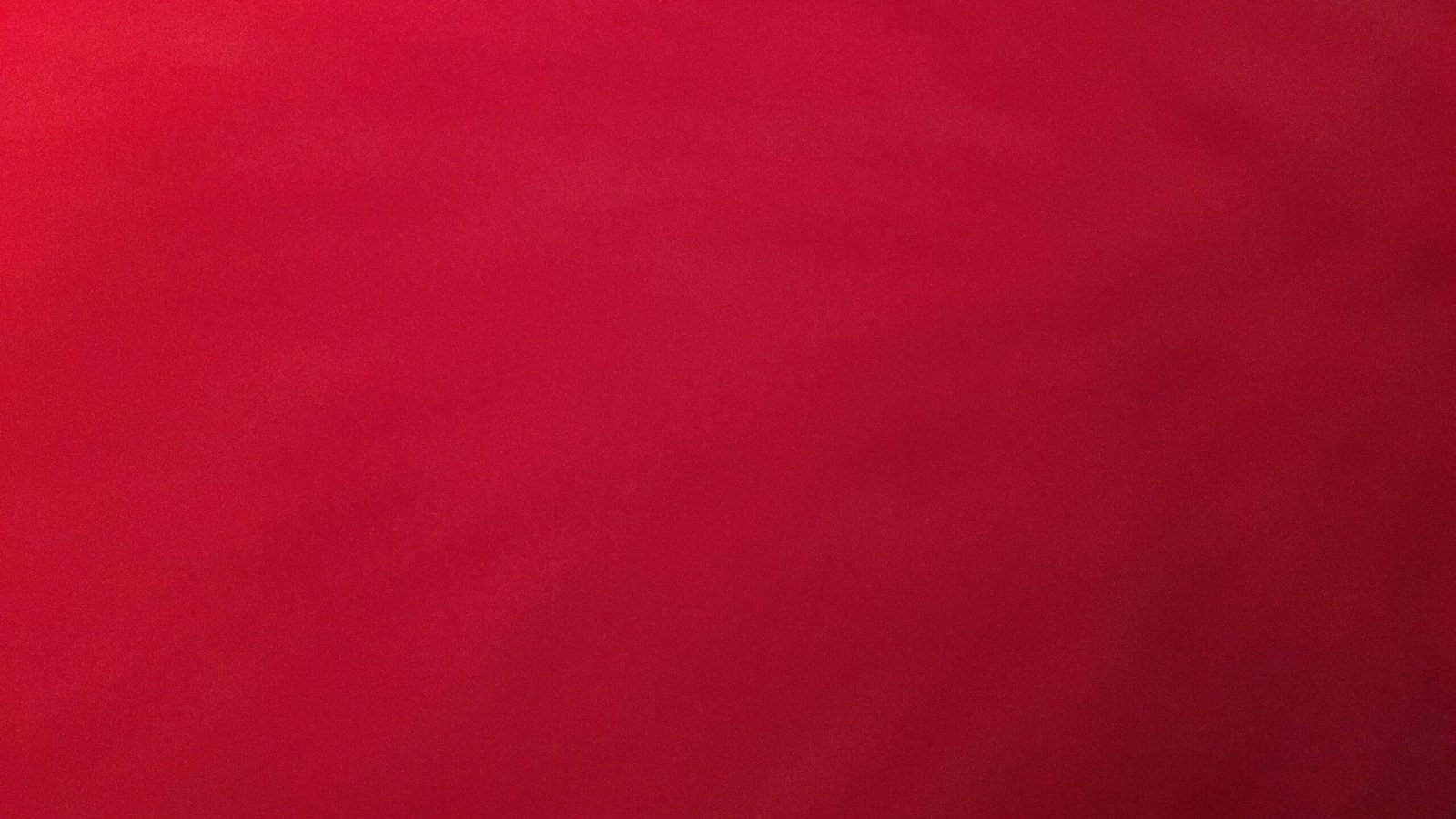 The Case of the Forsaken Felines